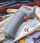 Raytek MiniTemp MT4